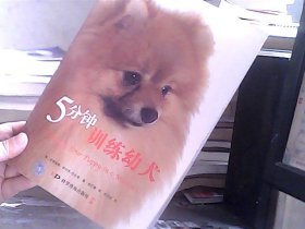 5分钟训练幼犬