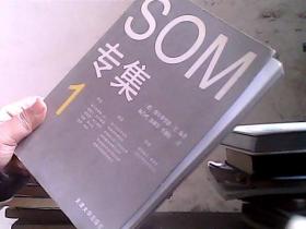 SOM专集1