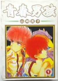 青春男孩  漫画，全3册