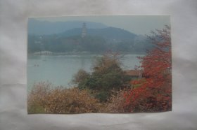 广东惠州西湖      明信片   散片1张   中英文版