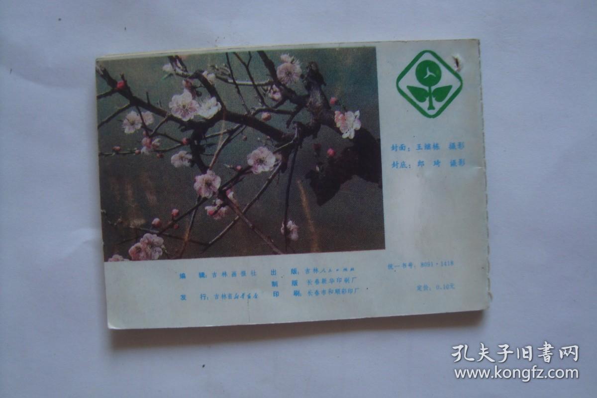 袖珍历   1984年      吉林画报社