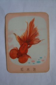 红水泡     金鱼       1978   凹凸版    年历卡1张