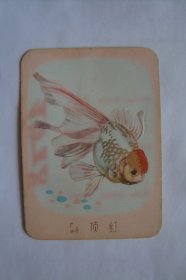 鹤顶红    金鱼       1978   凹凸版    年历卡1张