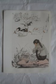 牧鸭         (中国画 )      版画  宣传画