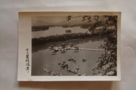 老照片     照片式贺卡    肇庆星湖风景
