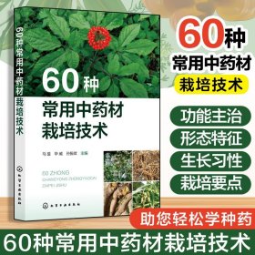 中药材茴香人工种植技术书籍 无公害茴香栽培技术（视频U盘）