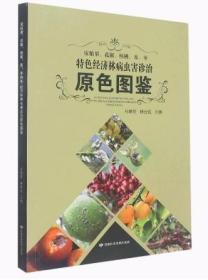 皮胎果人工种植技术书籍 皮胎果、花椒、核桃、杏、枣特色经济林病虫害诊治