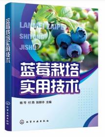 蓝莓人工种植技术书籍 蓝莓栽培实用技术(杨芩)