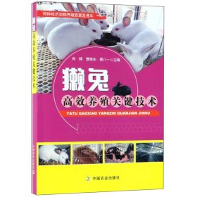 獭兔高效养殖关键技术/特种经济动物养殖致富直通车