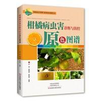 柑桔种植技术书籍 柑橘病虫害诊断与防控原色图谱