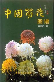 菊花人工种植技术书籍 中国菊花图谱