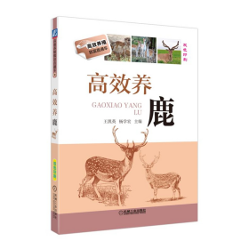 高效养鹿