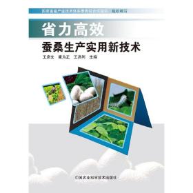 省力高效蚕桑生产实用新技术书籍 蚕桑种植技术[视频U盘]+1书