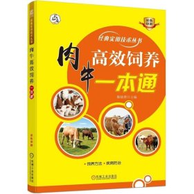 肉牛人工养殖技术书籍 肉牛高效饲养一本通 养殖