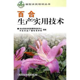 中药材百合人工种植技术书籍 百合无公害栽培技术（视频U盘）+1书