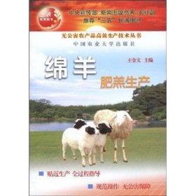 绵羊肥羔生产