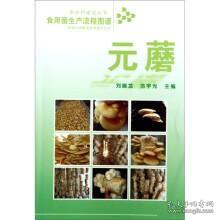 食用菌生产流程图谱：元蘑