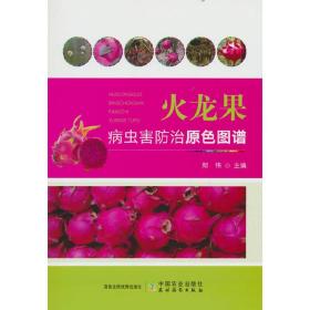 火龙果人工种植技术书籍 火龙果病虫害防治原色图谱