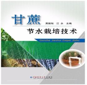 甘蔗人工种植技术书籍 甘蔗节水栽培技术