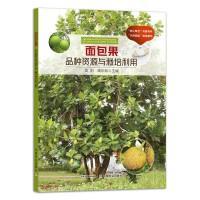 热带水果面包果种植技术书籍 面包果品种资源与栽培利用