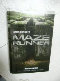 MAZE RUNNER