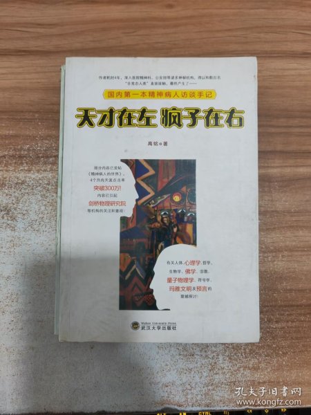 天才在左 疯子在右：国内第一本精神病人访谈手记