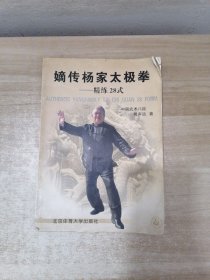 嫡传杨家太极拳：精练28式