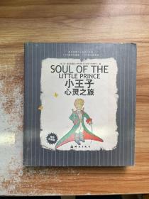 小王子心灵之旅：SOUL OF THE LITTLE PRINCE