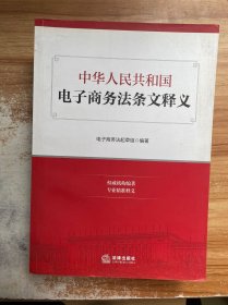 中华人民共和国电子商务法条文释义