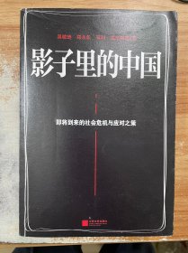 影子里的中国：即将到来的社会危机