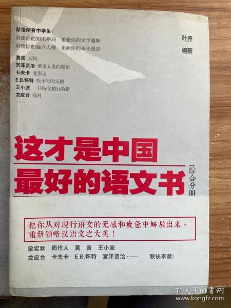 这才是中国最好的语文书：综合分册