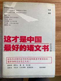 这才是中国最好的语文书：综合分册