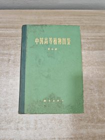 中国高等植物图鉴（第五册）