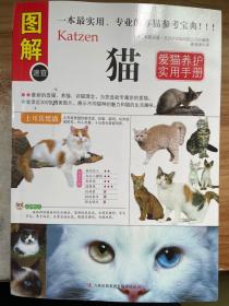 猫：爱猫养护实用手册