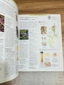 Encyclopedia of Herbal Medicine (DK Natural Health)