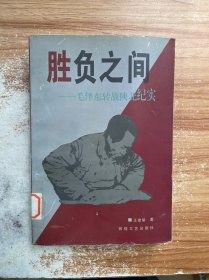 胜负之间—毛泽东转战陕北纪实