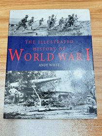 The illustrated history of world war I，第一次世界大战 图解史