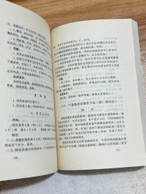 广东点心:中级技术教材