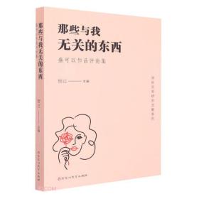 那些与我无关的东西(盛可以作品评论集)/深圳文学研究文献系列