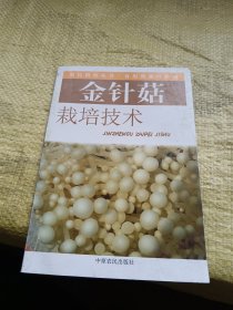 金针菇栽培技术