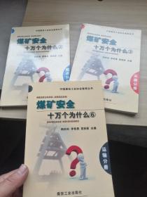 煤矿安全十万个为什么2掘进分册、3采煤分册、6运输分册     3本合售