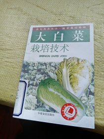 大白菜栽培技术