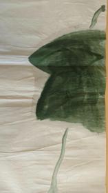 日本回流 日本画 《黄瓜与蟋蟀》（手绘）纸本软片