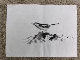 日本回流 日本画 《水墨小鸟画稿》 （手绘）纸本软片1