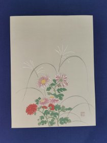 日本回流  日本著名画家 狩野周信（如川法眼周信）《菊图》（版画） 纸本软片