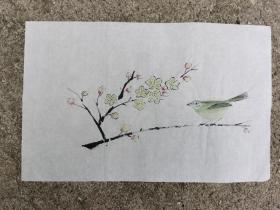 日本回流 日本画 《腊梅与黄雀图画稿》 （手绘）纸本软片