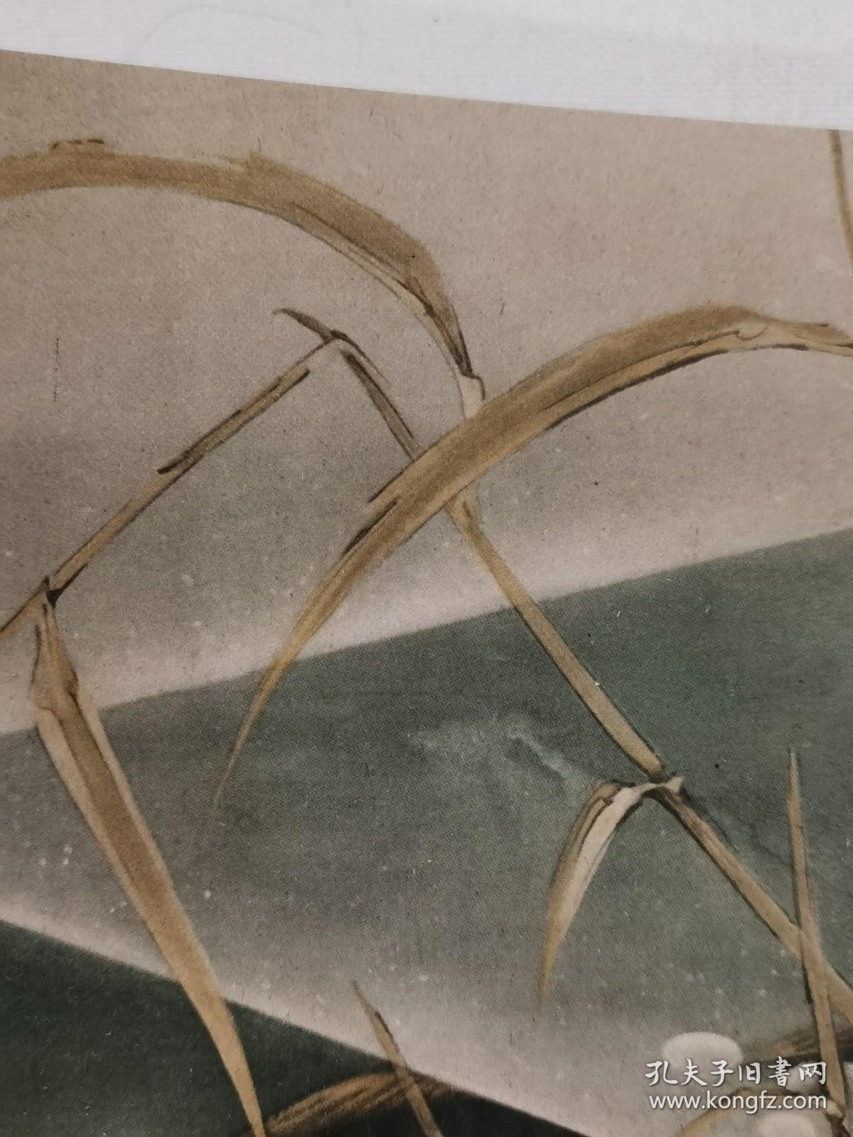 日本回流  日本著名画家 川端龙子《游鱼图》（印刷）  卡纸