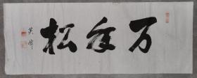 日本回流  英峰书法 《万年松》（手绘）纸本软片