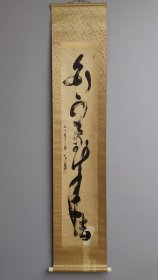 日本回流 雄然 书法 一行书《白云去来》（茶挂）（手绘）纸本立轴