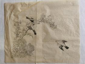人物画稿 《花鸟图》 （手绘）纸本软片03